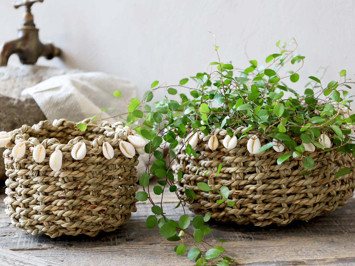 Small Sea Shell Basket