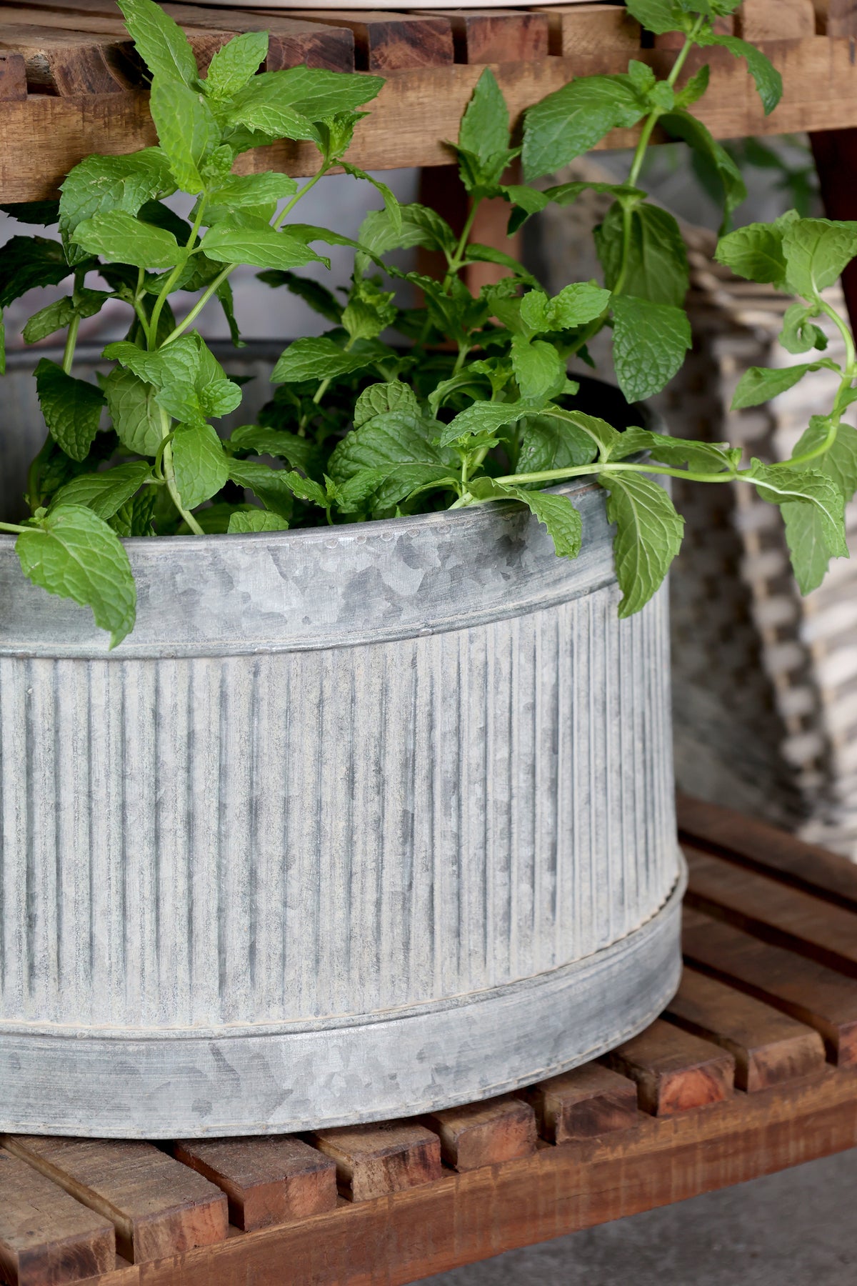 Set of 2 Zinc Planters