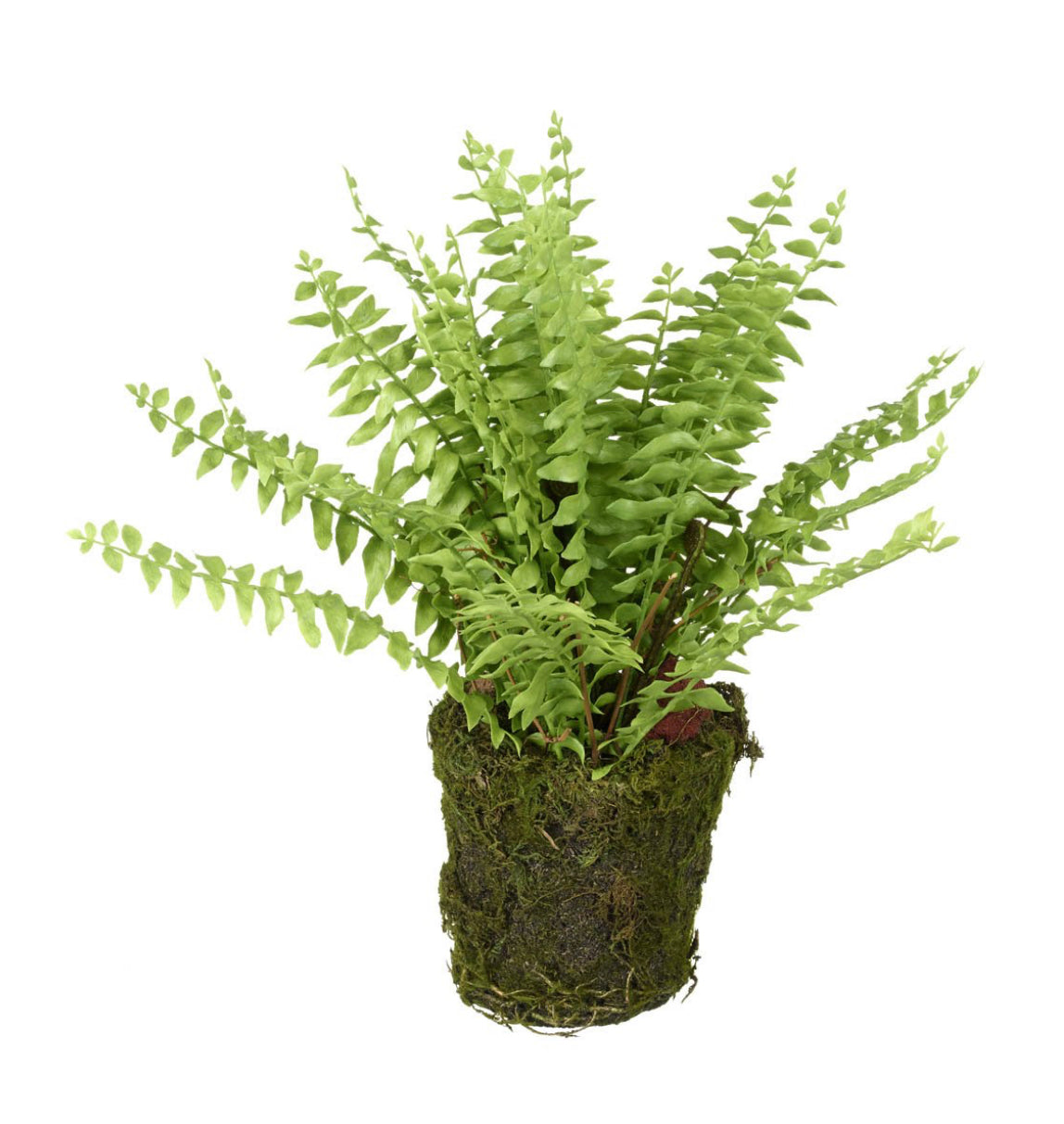 Large Faux Fern in Soil