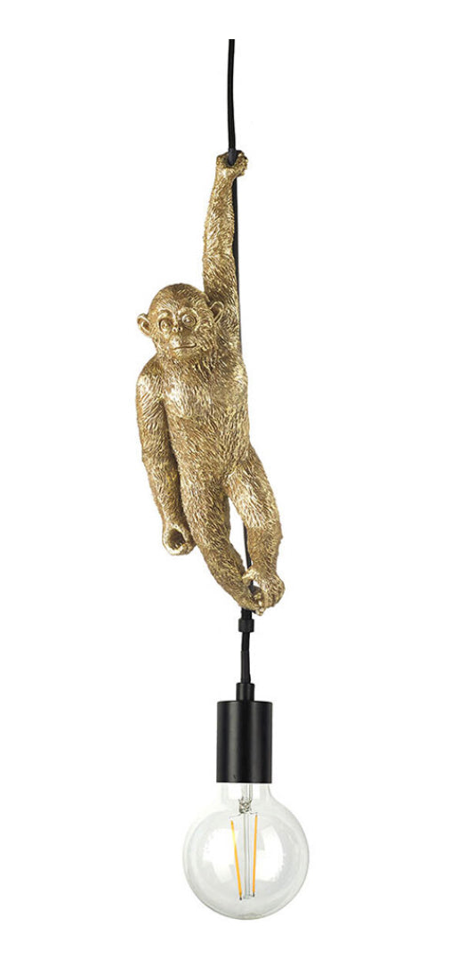 Hanging Monkeying Around Pendant Light Fitting