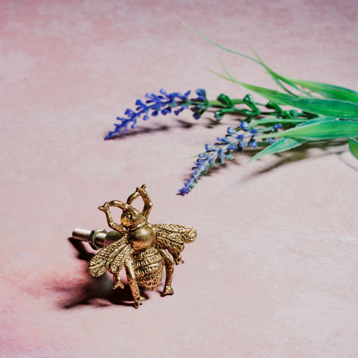 Golden Bee Vintage Drawer Knob By Sass & Belle