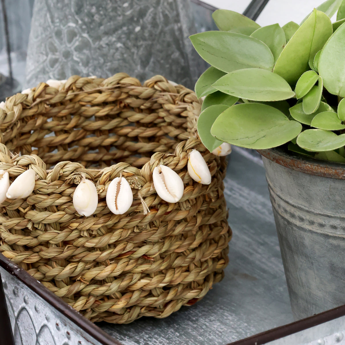 Small Sea Shell Basket