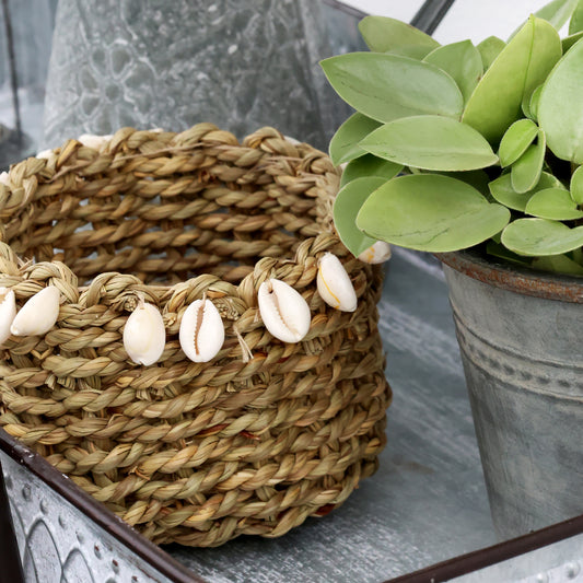 Small Sea Shell Basket