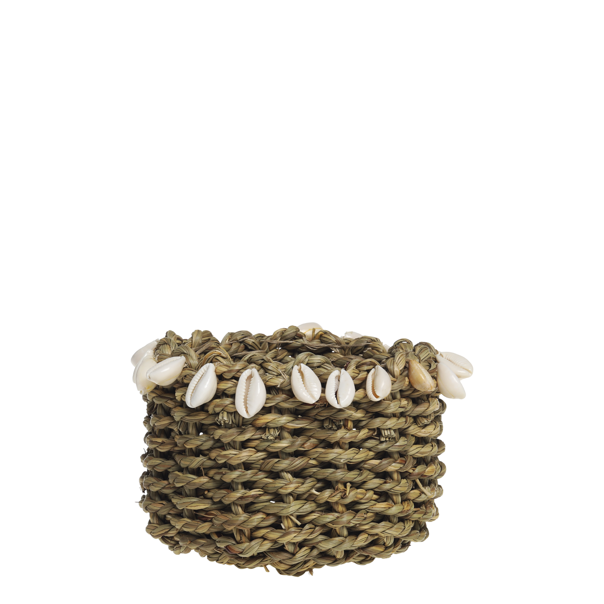 Small Sea Shell Basket