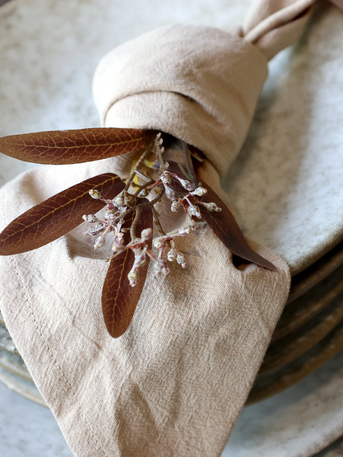 Aix Linen Cloth Napkins