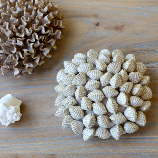 Ceramic Sea Shell Decoration