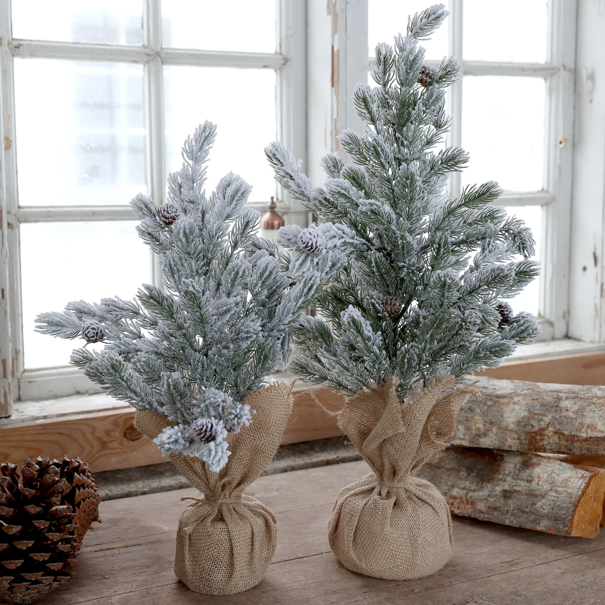 Large Pinecone & Snow Tree