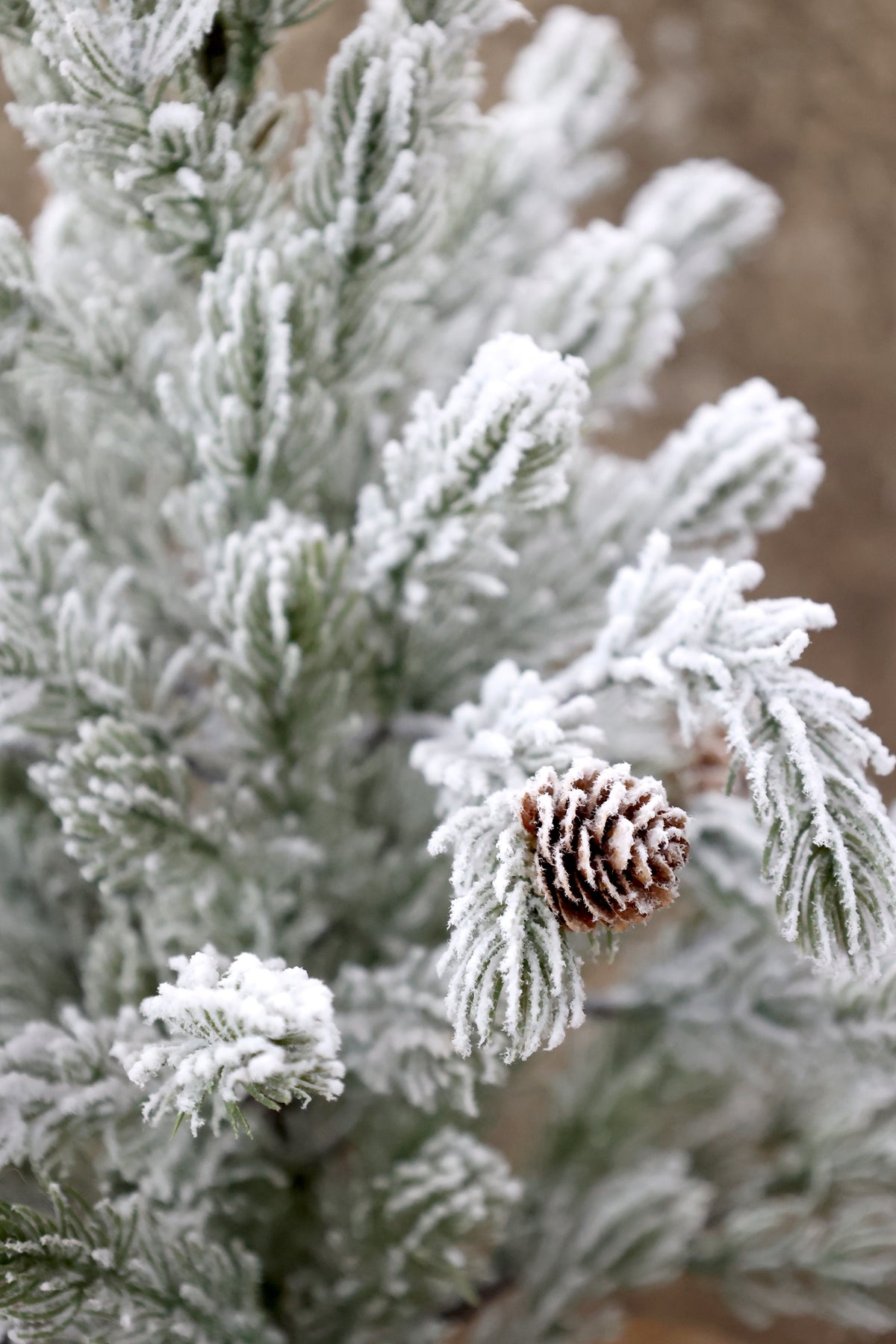Large Pinecone & Snow Tree
