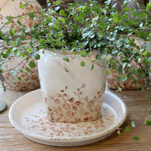 Chaval Cream Large Botanical Planter