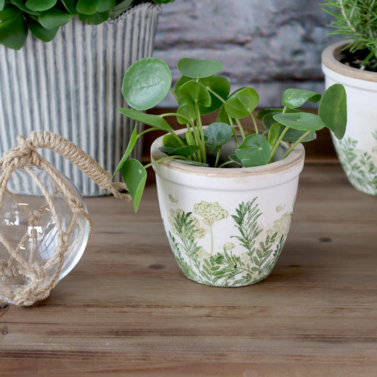 Laval Green Botanical Planter