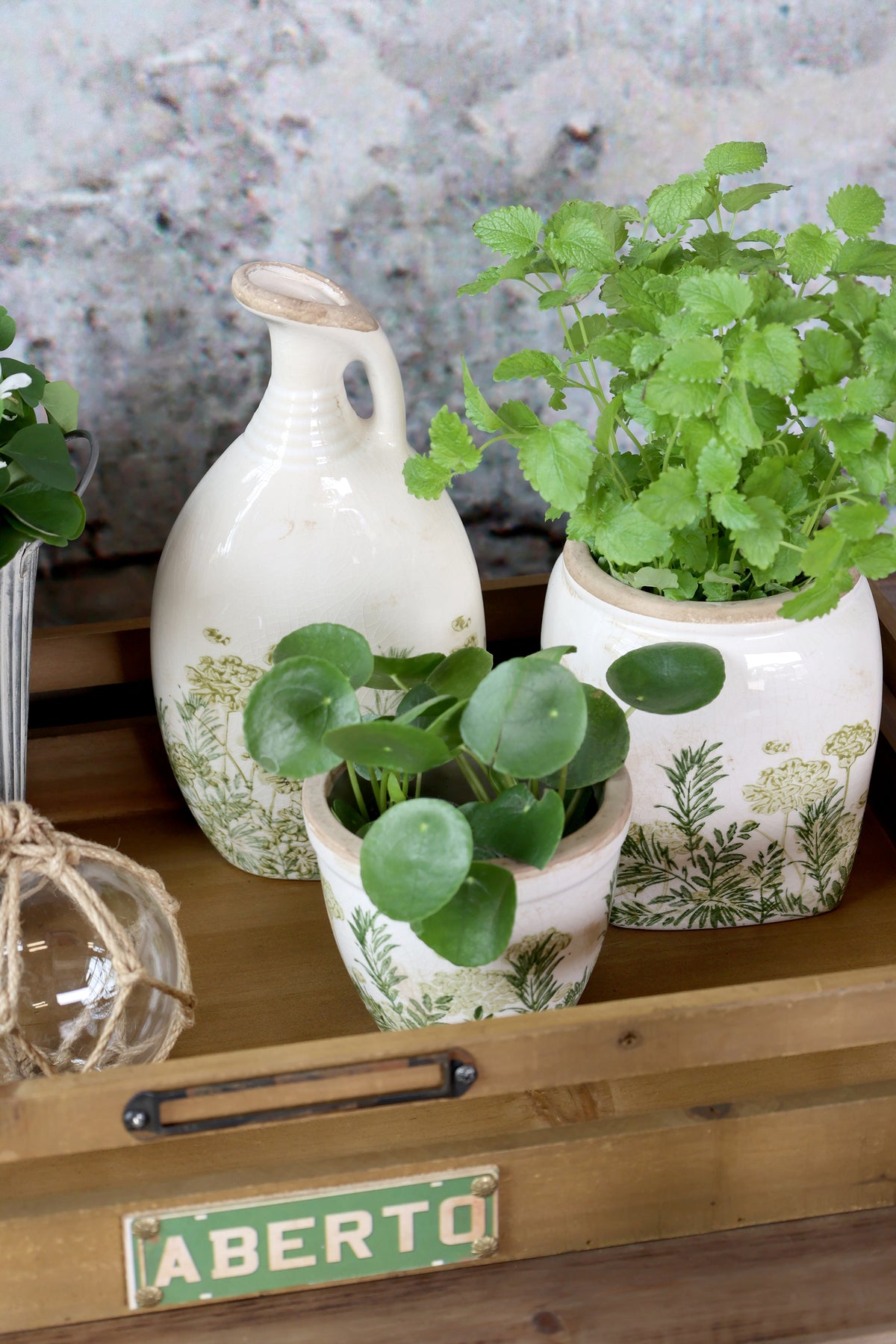 Laval Green Botanical Planter
