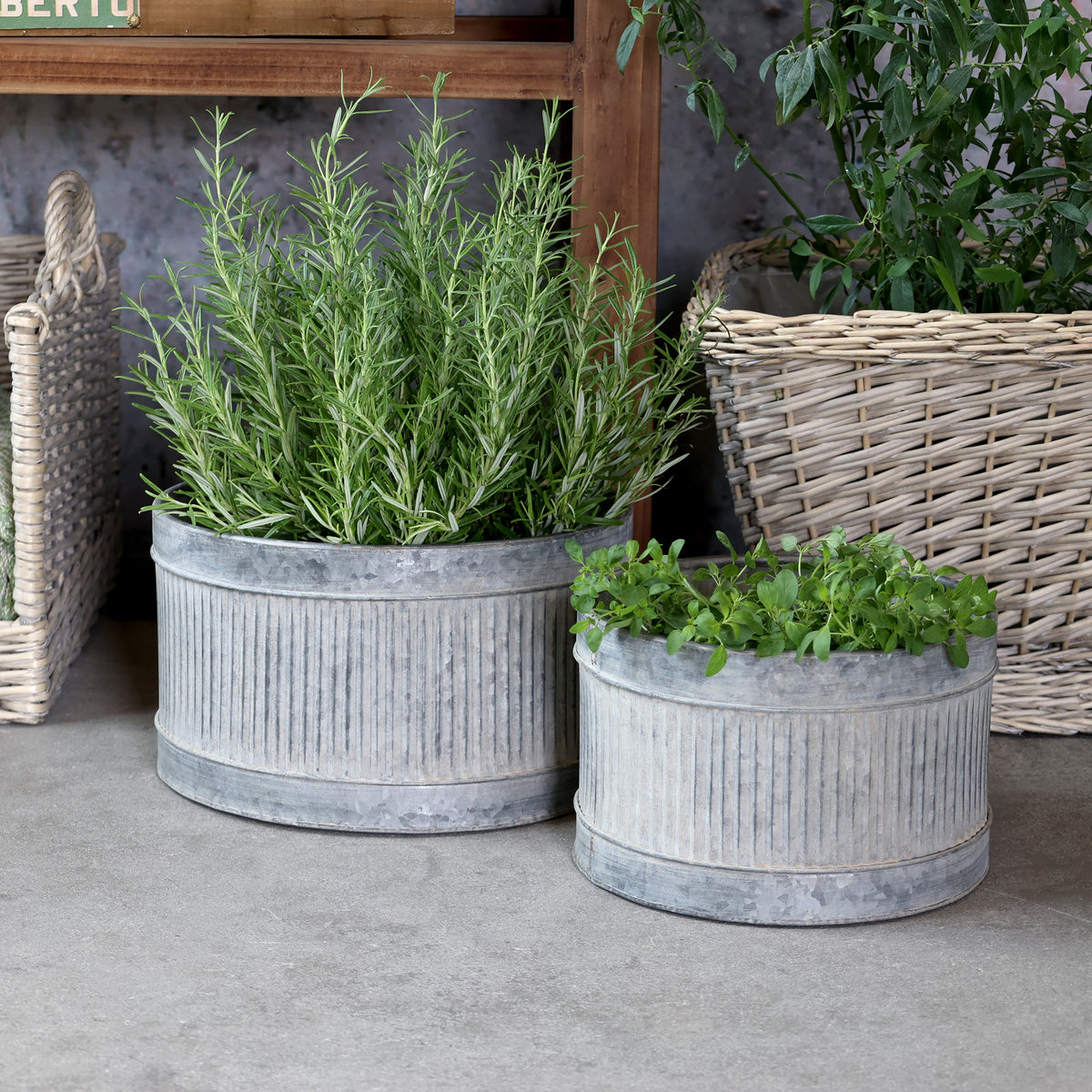 Set of 2 Zinc Planters