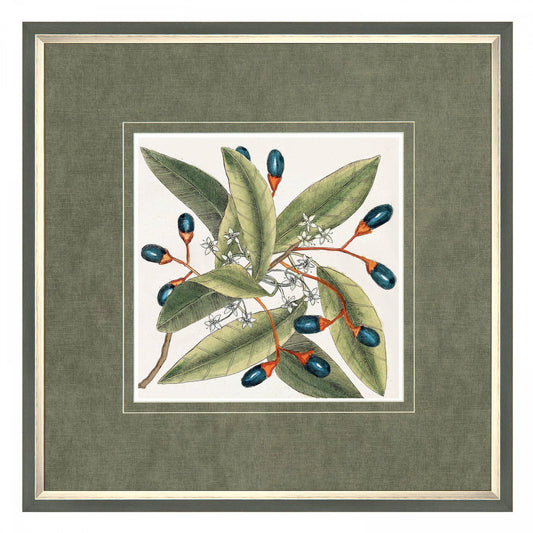 Botanical Style Framed Picture