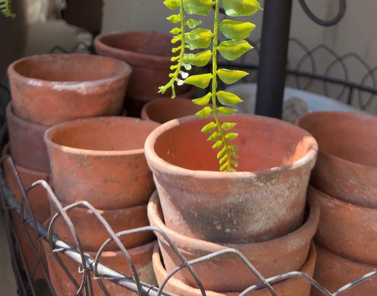 A terracotta clay planter pot with a small green trailing plant growing in it, surrounded by stacked terracotta pots on a metal wire rack.