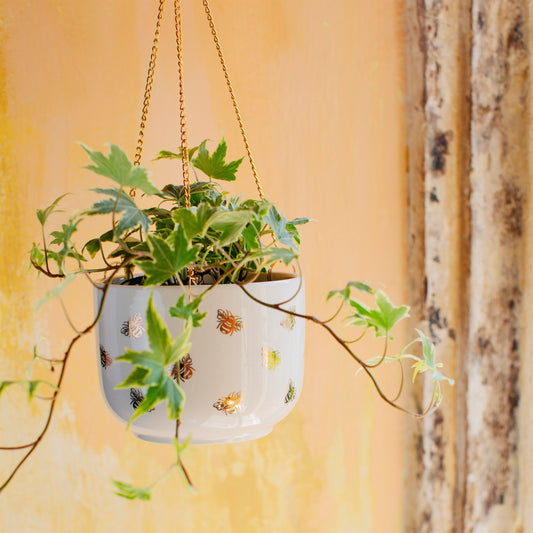 Queen Bee Hanging Planter