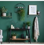 Hanging Philodendron Plant