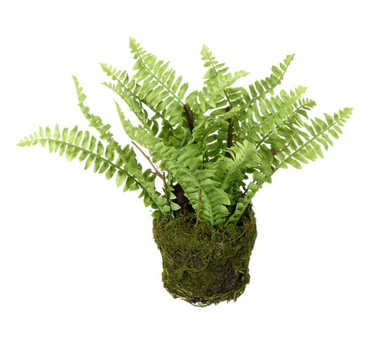 Small Faux Fern in Soil